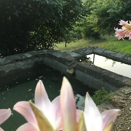 Relax Nella Natura Bolano Exterior foto