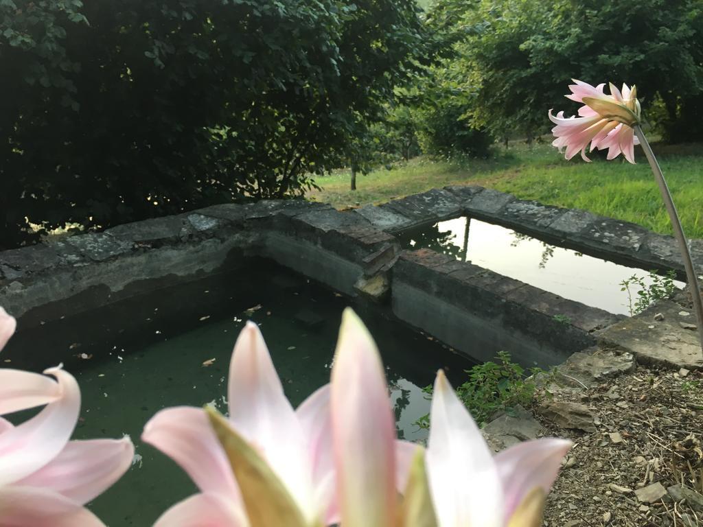 Relax Nella Natura Bolano Exterior foto